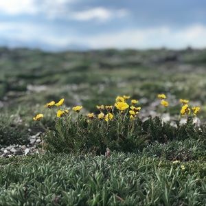 Meet your Posher, Briana